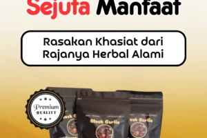 Black Garlic Bawang Hitam T